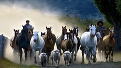 Vivre une journée dans une estancia familiale : la vie gaucho loin des clichés